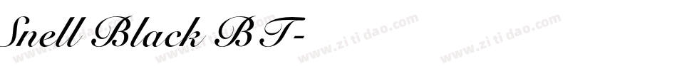 Snell Black BT字体转换